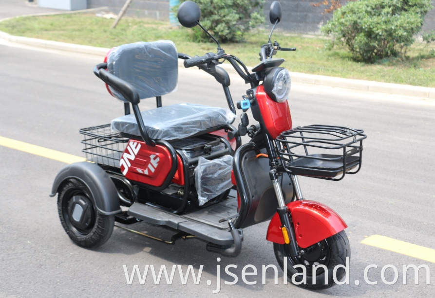 Adult Cargo Best Price Electric Tricycle